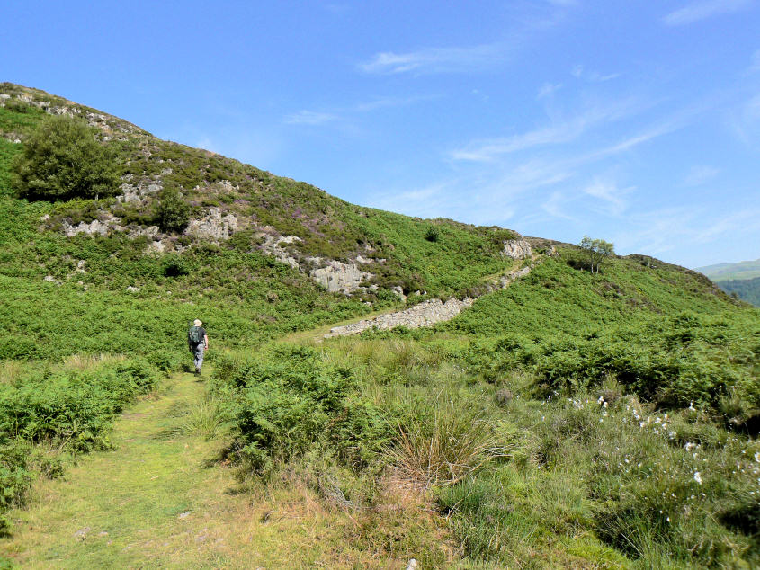 Silver Knott Silver Knott